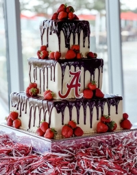 Alabama Cake