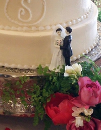 Wedding Cake 118