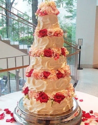 Wedding Cake 66